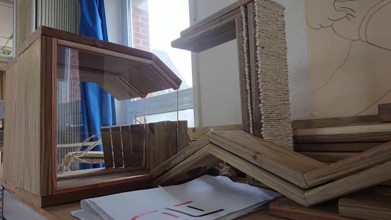 Le montage de l'arbre à chat