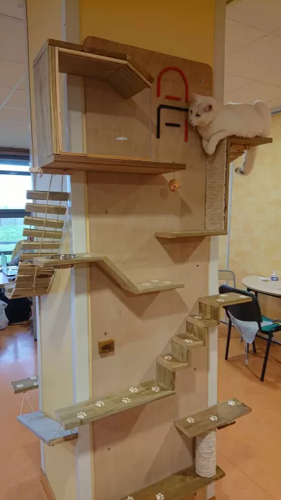 L'arbre à chats